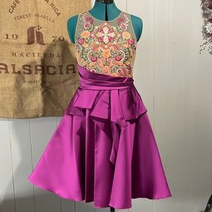 Beautiful designer illusion dress BNWT size 8. Fits beautifully